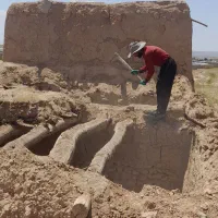 خدمات|خدمات باغبانی و درختکاری|قیدار, |دیوار