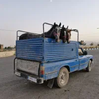 خرید و فروش انواع پالانی