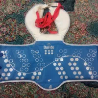 هوگو تکواندو دیدو