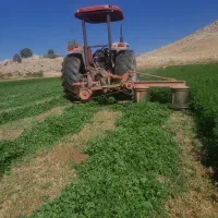 یونجه چین پنجم
