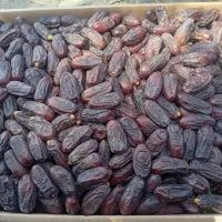خرما ربی کلوته