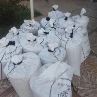 گندم برات مادر
