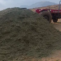 یونجه کاه