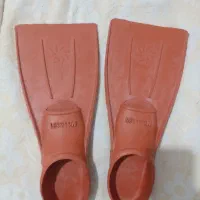 فین شنا