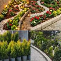 خدمات باغبانی گلکاری تعویض خاک باغچه گلدان هرسکاری