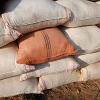 کاه سفیدکوهدشت  دیم امسال  در فریدونشهر