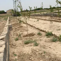 زمین-مناسب-باغچه-300-متر