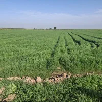 معاوضه  یافروش باغ ویلا