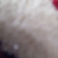 خط سیمکارت همراه اول 09129534694..کد9