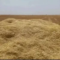 فروش کاه