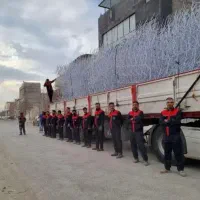 حفاظ روی دیوارتنها تولیدکننده حفاظ شاخگوزنی جنگلی