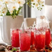 دمنوش ریزمیوه