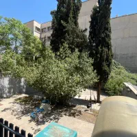 میرداماد ۳۷۰متر مستغلات موقعیت