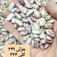 گران نخریدحبوبات«لوبیا لپه و ... سبد کالا برگ