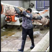 قالیشویی و مبل شویی آریانا کیانمهرگلشهرگوهردشت