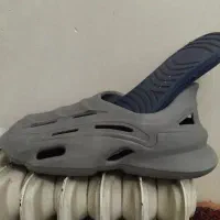 کراکس ساحلی