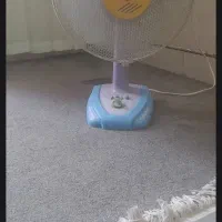 پنکه