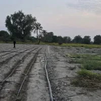 فروش-زمین-کشاورزی