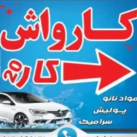 نیروی کارکرده کارواش