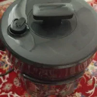 مولتی کوکر مولینکس