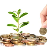 جذب سرمایه گذار