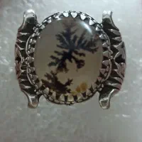 شجر نفیس و زیبا