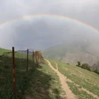 اسکلت بتنی سواد ک و ه