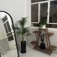 آیینه|فروشگاه و مغازه|یزد, |دیوار
