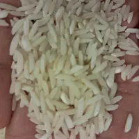 برنج هاشمی گیلان خوش پخت و خوش عطر