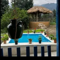 زمین با کاربری باغ ویلا نزدیک به چشمه