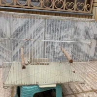 قفس پرنده
