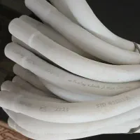 110عدد زانو برق عصایی pvc زیر قیمت کل ایران