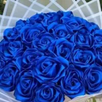 گل ربانی|گل مصنوعی|دوگنبدان, |دیوار