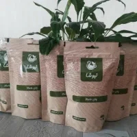 گیاه درمانی