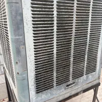 کولرابی ارج