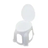 توالت فرنگی