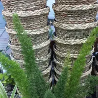 انواع گلدون حصیری موجوده