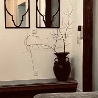 آینه با فرم فلزی