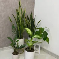 گل طبیعی همراه گلدان