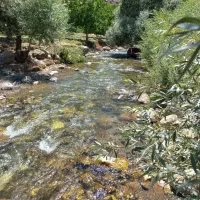 روستا
