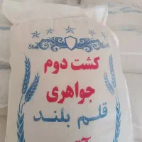 پخش برنج هاشمی