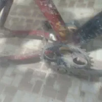تنه دوچرخه
