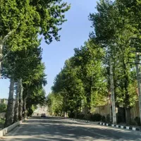 فروش-فوری-287متر-زمین-مسکونی-درشهریار-شهرک-بهاران