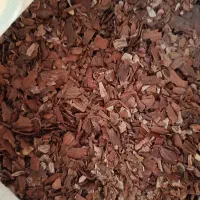 بلوط|خوردنی و آشامیدنی|صدرا-فارس, فاز ۲|دیوار