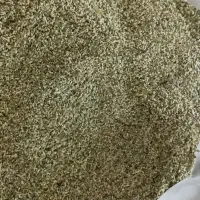 گل اویشن امسال برای فروش