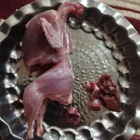 بلدرچین گوشتی برای کشتن