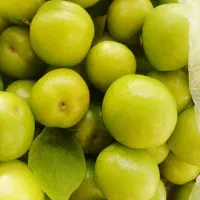 آلوچه|خوردنی و آشامیدنی|پره‌سر, |دیوار