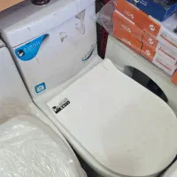 فرنگی باریش ۳شوت