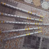 فلوت المیونی