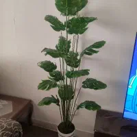 درختچه مصنوعی زیبایی هر خانه